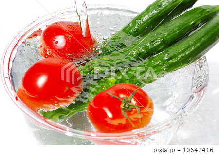 新鮮冷え冷え夏野菜の写真素材