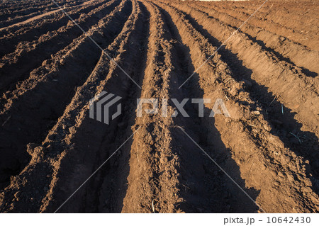 Farming Plow Rows 10642430