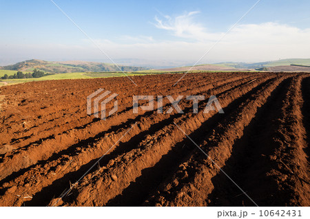 Farming Plow Rows Farming Plow Rows 10642431