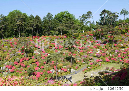 塩船観音寺 10642504