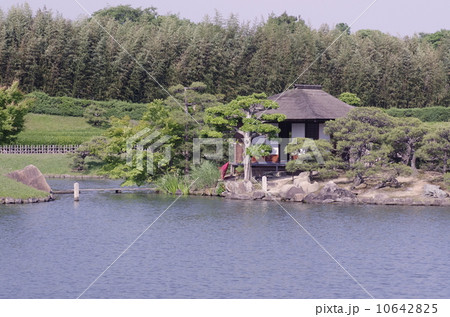 五月晴れの岡山後楽園 10642825