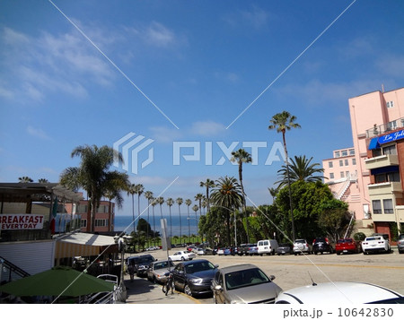 ラ・ホヤ 10642830