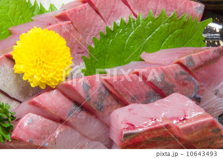 ツバスの刺身 ツバスの刺身 10643493