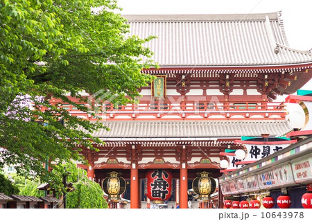 新緑の浅草寺 新緑の浅草寺 10643978