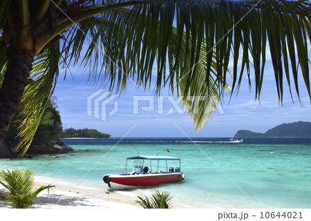 コタキナバルの青い海とヤシの木とボート　マレーシア 10644021