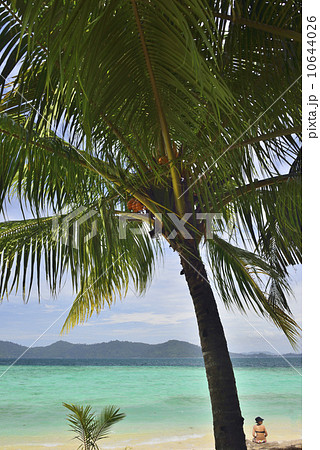 コタキナバルの青い海とヤシの木と女性　マレーシア 10644026