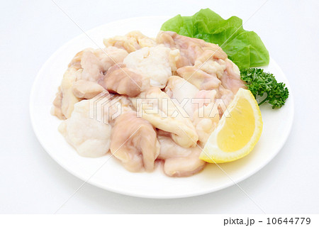 ホルモン 10644779