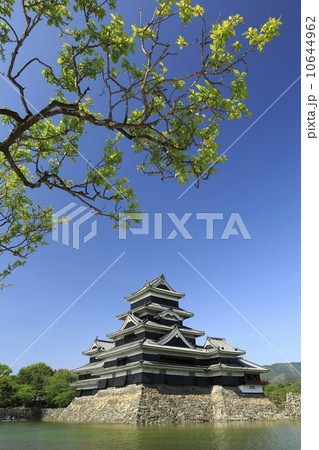 国宝　松本城 10644962