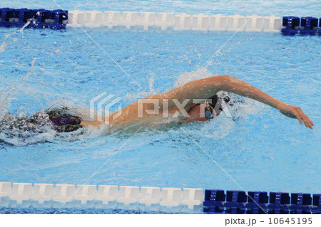 クロール 10645195