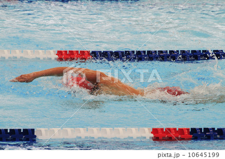 クロール クロール 10645199