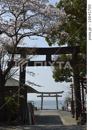 鹿島御児神社・鳥居と海(宮城県) 鹿島御児神社・鳥居と海(宮城県) 10645700