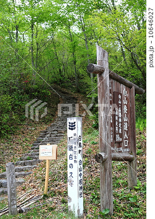 いとしろ大杉 いとしろ大杉 10646027