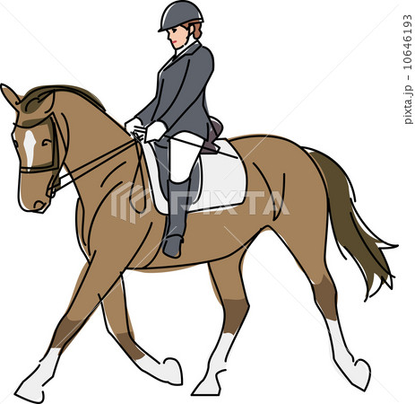 障害者スポーツ 馬術 障害者スポーツ 馬術 10646193