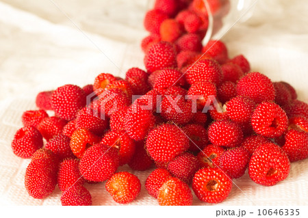 野いちごいっぱいの写真素材