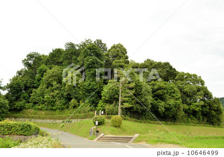 栗原塚穴古墳 栗原塚穴古墳 10646499