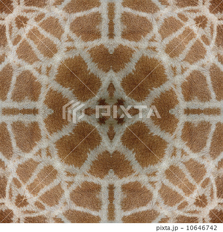seamless pattern seamless pattern 10646742