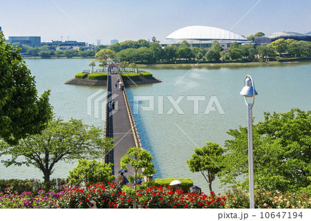 駕与丁大橋 10647194