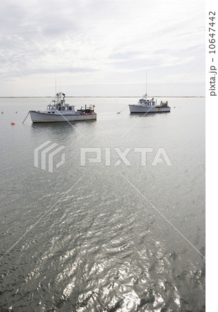USA, Massachusetts, moored fishing boats USA, Massachusetts, moored fishing boats 10647442