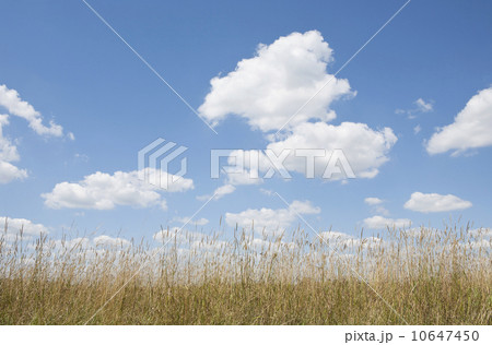 Clouds over meadow 10647450