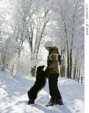 USA, Colorado, young woman playing with dog on snowy road 10647477