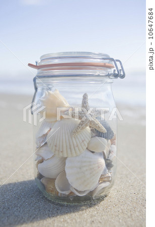 USA, Massachusetts, close up of shells in jar USA, Massachusetts, close up of shells in jar 10647684