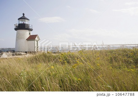 Lighthouse Lighthouse 10647788