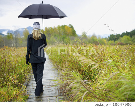 Person walking on boardwalk on rainy day 10647900