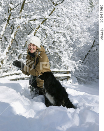 USA, Colorado, young woman playing with dog in snow USA, Colorado, young woman playing with dog in snow 10647960