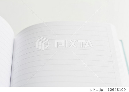 Open and empty journal 10648109