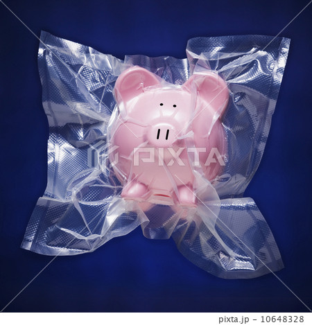 Shrink wrapped piggy bank 10648328