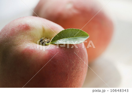 Apple 10648343
