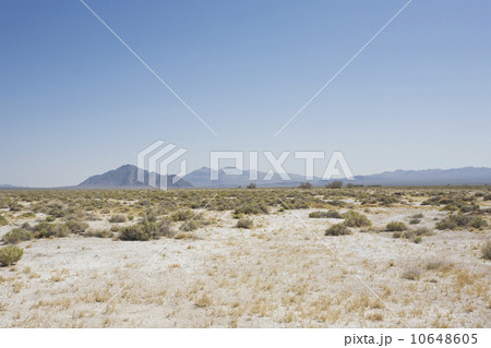 Desert landscape 10648605