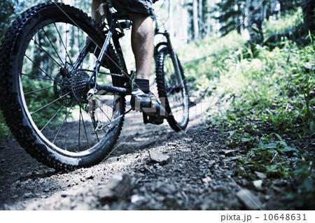 Man mountain biking in forest 10648631