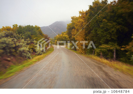 Empty, wet, country road Empty, wet, country road 10648784