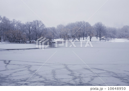 Central Park in winter 10648950