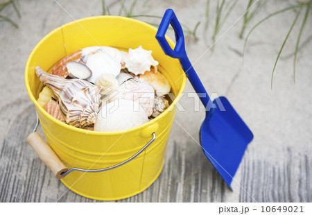Beach shovel and pail of shells 10649021