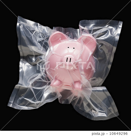Shrink wrapped piggy bank 10649296