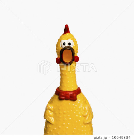Rubber chicken 10649384