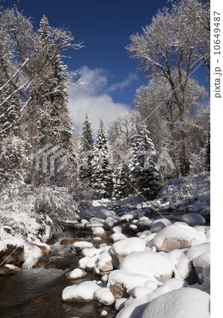 USA, Colorado, Winter landscape 10649487