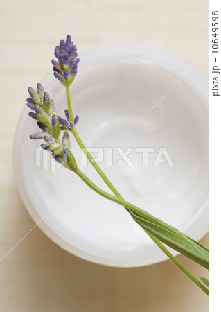 Studio shot of fresh lavender with bowl 10649598
