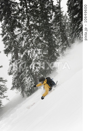 Alpine skier Alpine skier 10649600