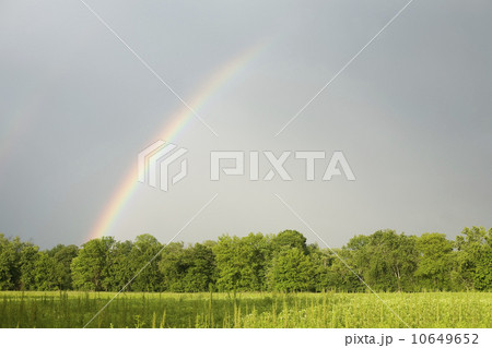 A rainbow in a field 10649652