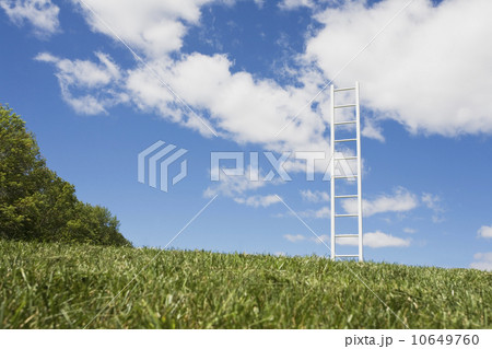 USA, New Jersey, White ladder in field USA, New Jersey, White ladder in field 10649760