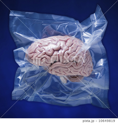 Shrink wrapped brain Shrink wrapped brain 10649819