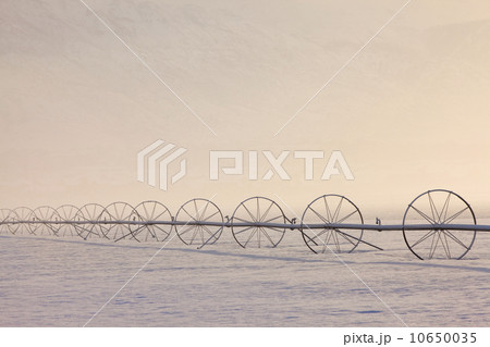 Irrigation equipment on a snow covered field 10650035