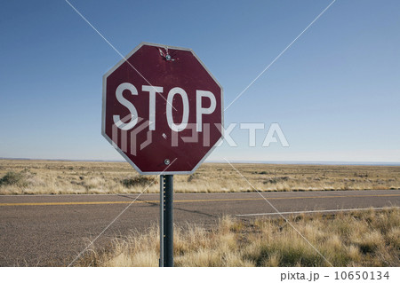 Enthusiastic young woman 10650134