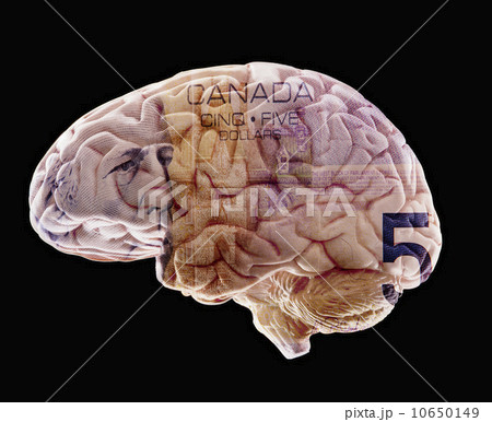 Composition of human brain model and five canadian dollar banknote 10650149