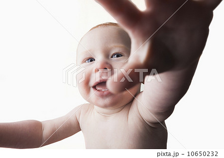Studio shot of baby boy (18-23 months) reaching camera Studio shot of baby boy (18-23 months) reaching camera 10650232