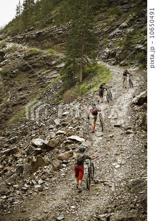 Mountain bikers pushing bikes up hill 10650491