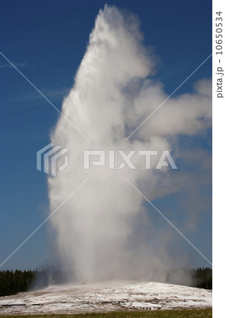 Erupting geyser Erupting geyser 10650534
